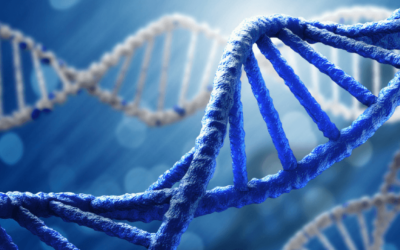 How to Build Candidate Engagement Into Your Staffing Firm’s DNA